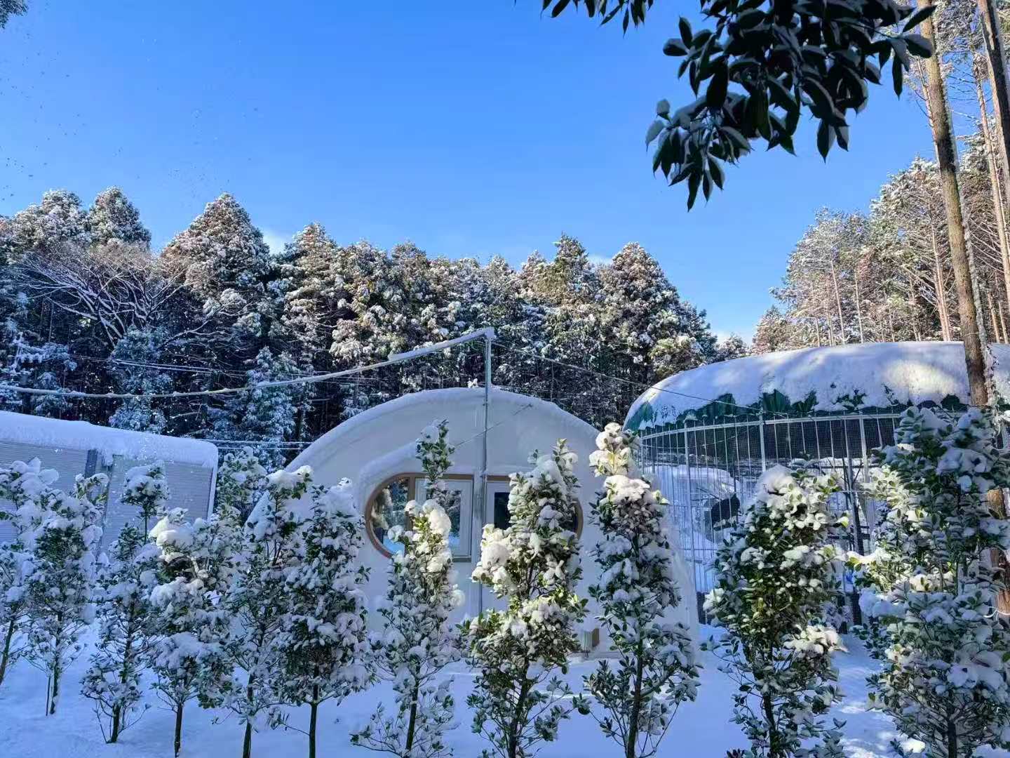 スペースカプセル体験の画像