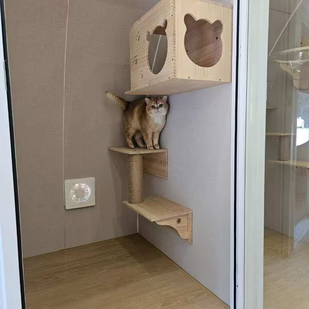 館内は冷暖房完備、個室あり。 人も快適に過ごせるほど清潔で心地よい空間を整えており、 猫ちゃんにとってもストレスの少ない、安心できる環境づくりを大切にしていますの画像