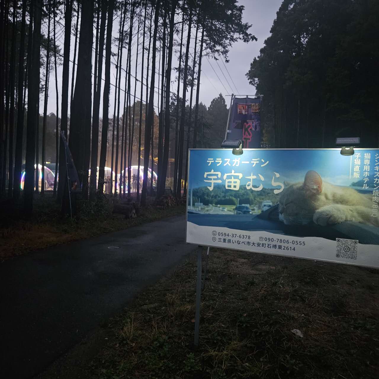 都会を離れた森の中で、ワイワイBBQの画像