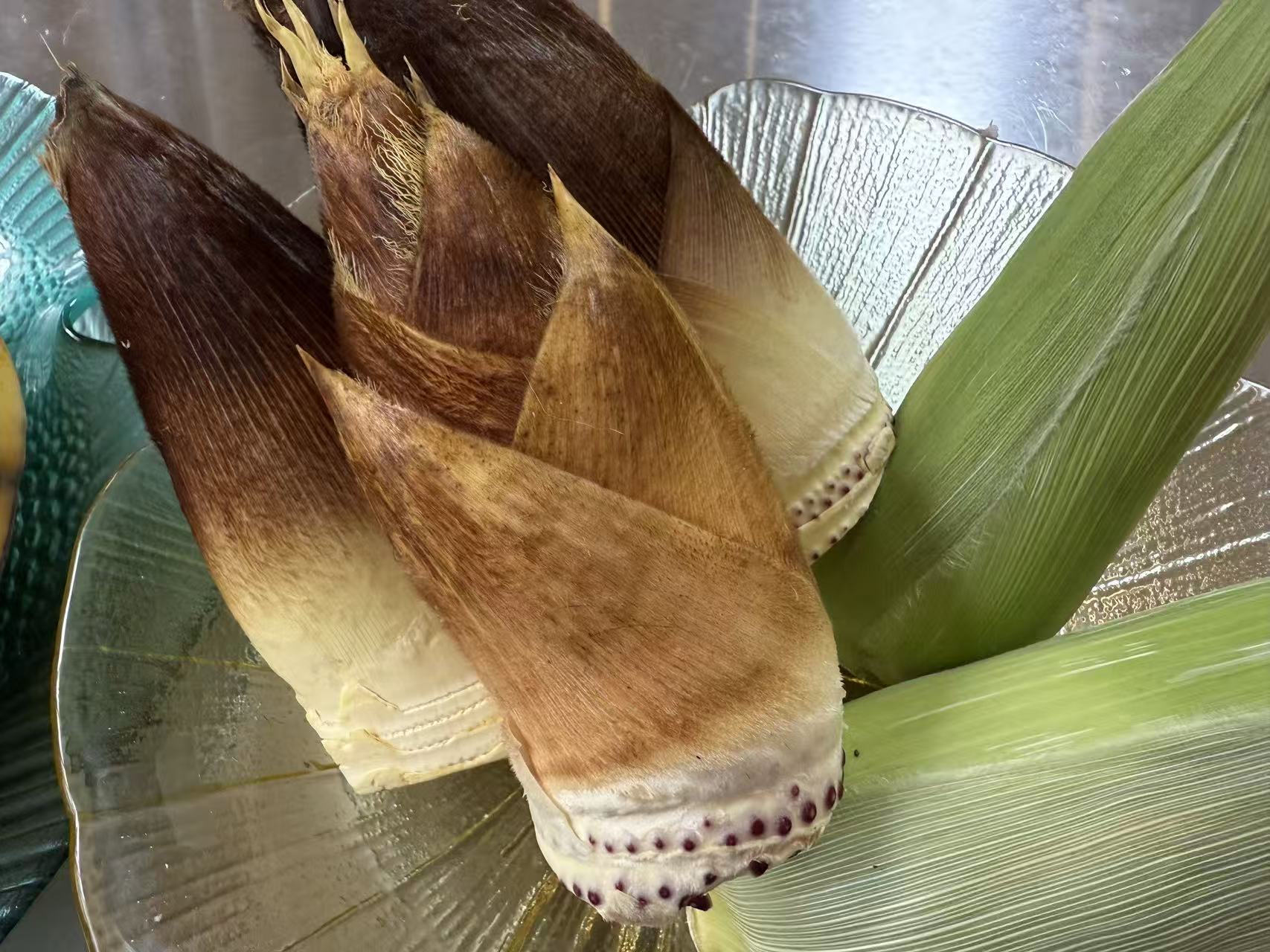 タケノコ掘り体験♪の画像