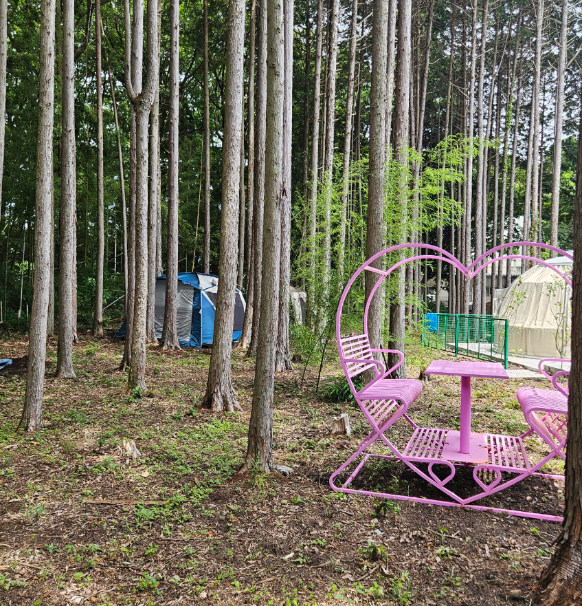 平日・週末を問わず、いつでも自然の森の中でキャンプを楽しもう。の画像