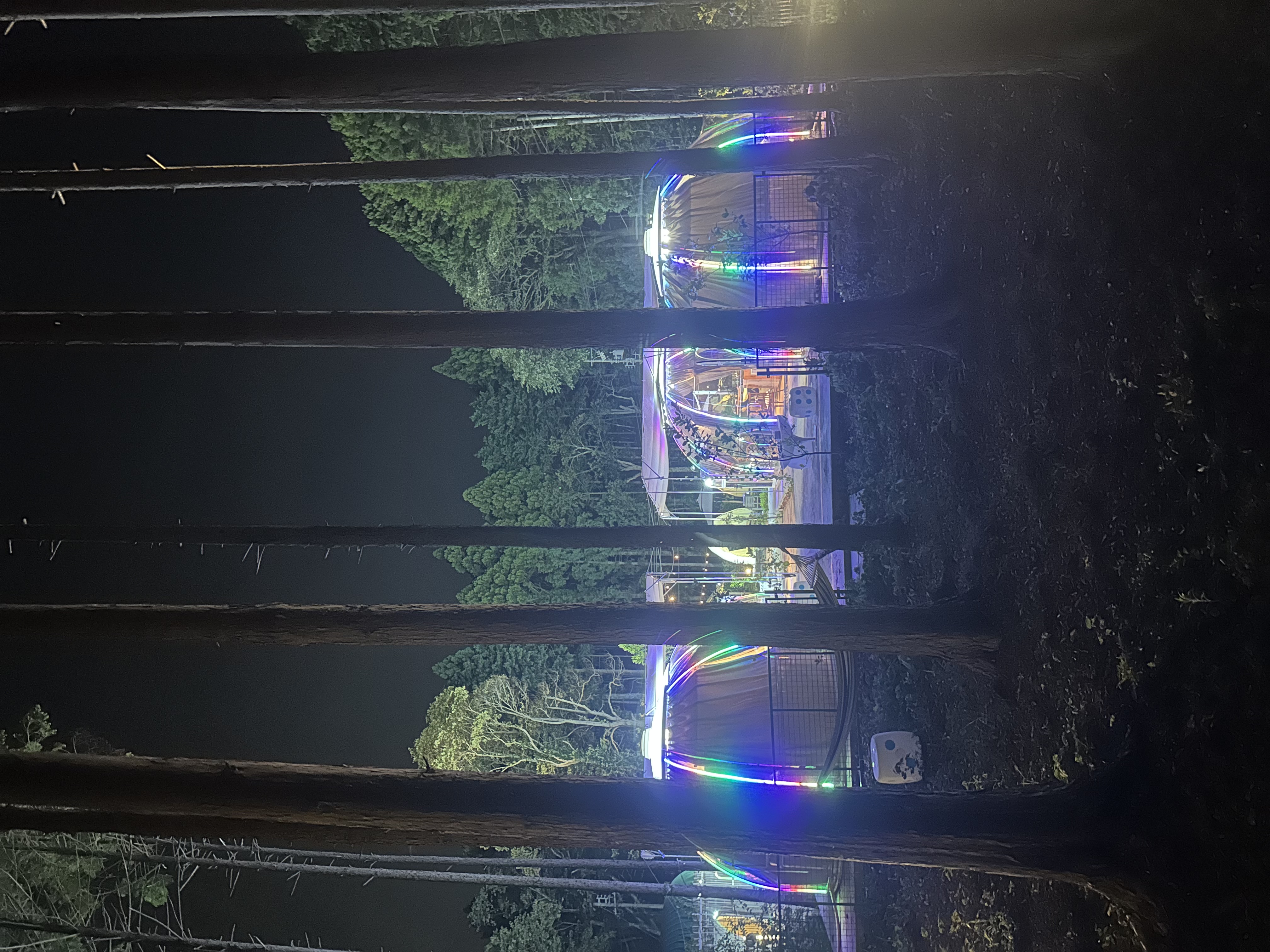 平日・週末を問わず、いつでも自然の森の中でキャンプを楽しもう。の画像